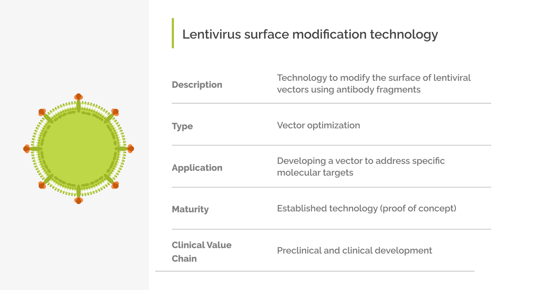 Lentivirus surface modification technology