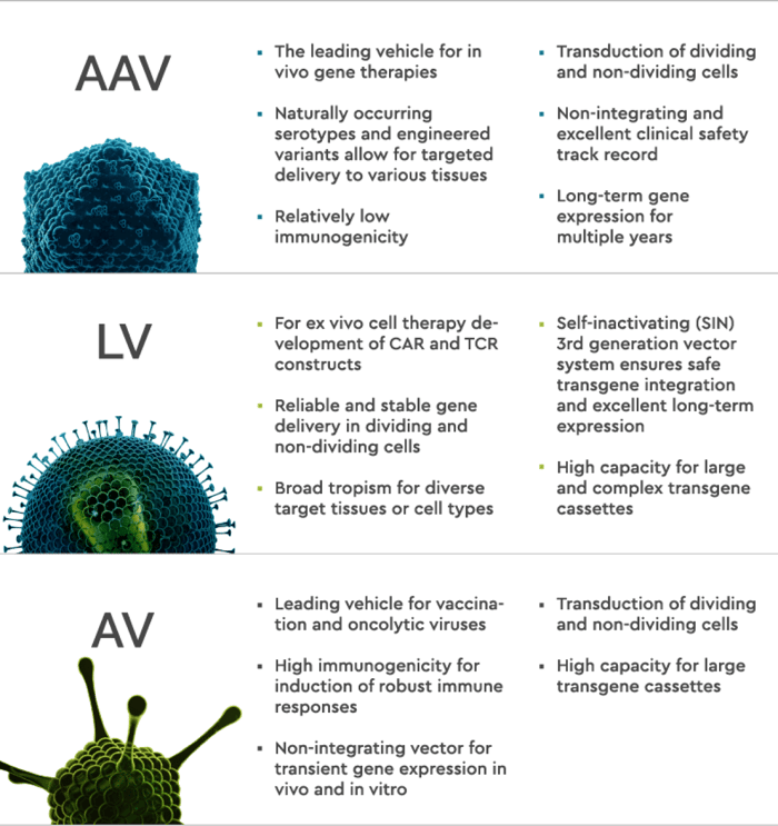 Viral Vector Overview